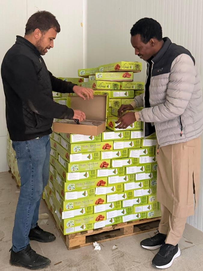 Contrôle d’une palette de dattes Deglet Nour en Algérie